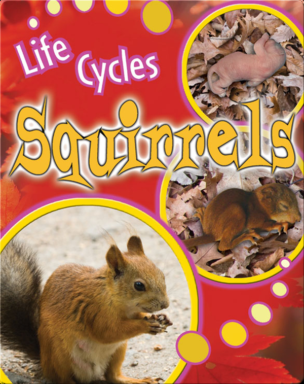 Squirrels Children's Book by Julie Lundgren Discover Children's Books