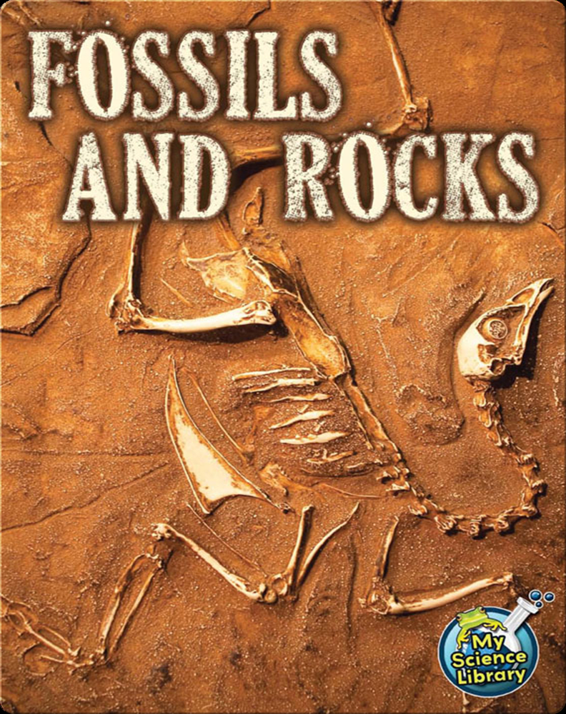 Fossils and Rocks Children's Book by Kimberly Hutmacher | Discover ...