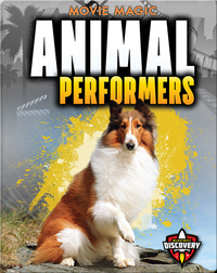 Animal Performers