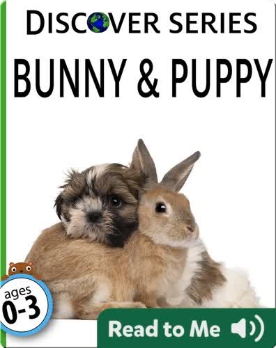 Bunny & Puppy