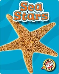 Sea Stars: Oceans Alive