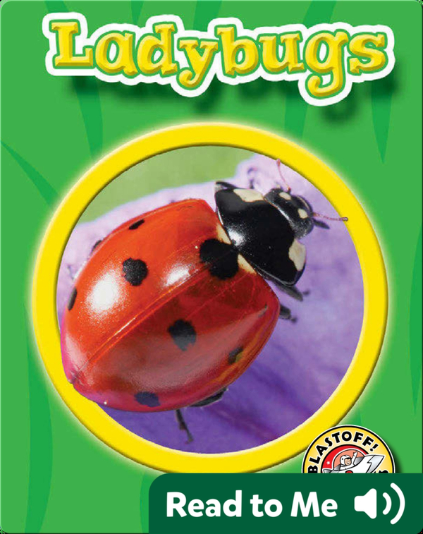 Ladybugs World of Insects Children's Book by Martha Rustad Discover
