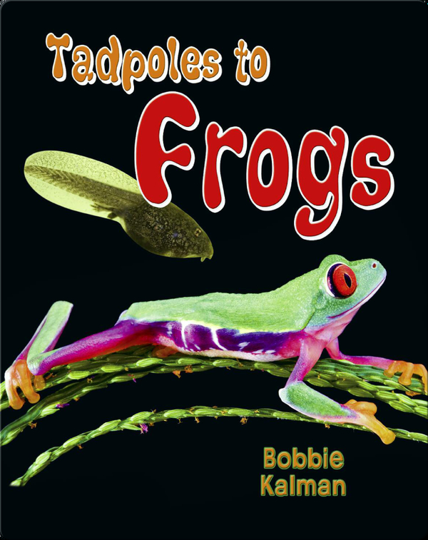 Tadpoles To Frogs Children S Book By Bobbie Kalman Discover Children S Books Audiobooks Videos More On Epic