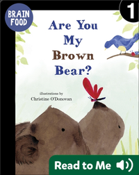Brain Food: Are You My Brown Bear?