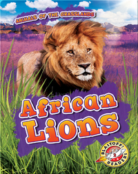 African Lions