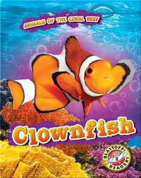 Animals of the Coral Reefs: Clownfish