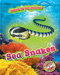 Animals of the Coral Reefs: Sea Snakes