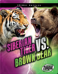 Animal Battles: Siberian Tiger vs. Brown Bear