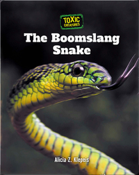 Toxic Creatures: The Boomslang Snake