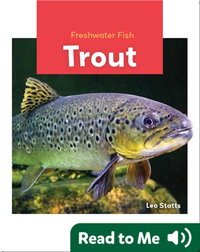 Freshwater Fish: Trout