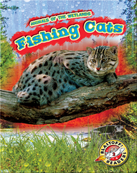 Animals of the Wetlands: Fishing Cats
