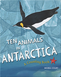 Ten Animals in Antarctica