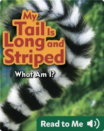 My Tail Is Long and Striped