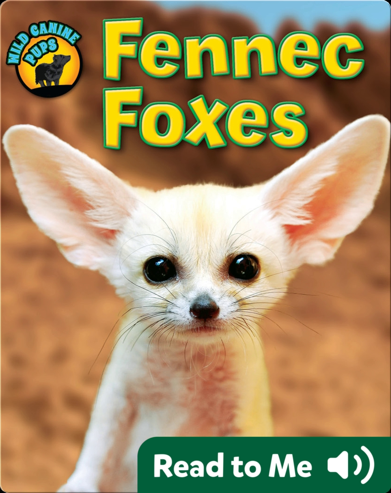 Fennec Foxes (Wild Canine Pups) Children's Book by Jane P. Gardner