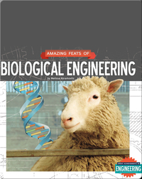 The Amazing Feats of Biological Engineering