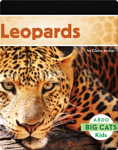 Big Cats: Leopards