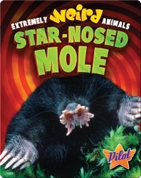 Extremely Weird Animals: Star-Nosed Mole