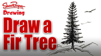 How to Draw a Fir Tree