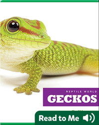 Reptile World: Geckos