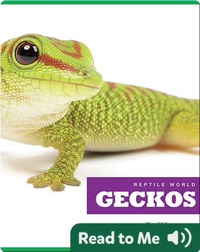 Reptile World: Geckos
