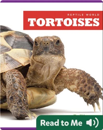 Reptile World: Tortoises