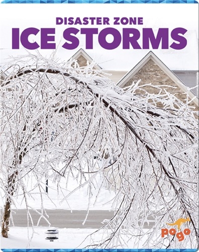 Disaster Zone: Ice Storms