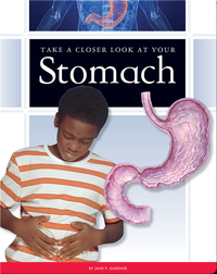 Take a Closer Look at Your Stomach
