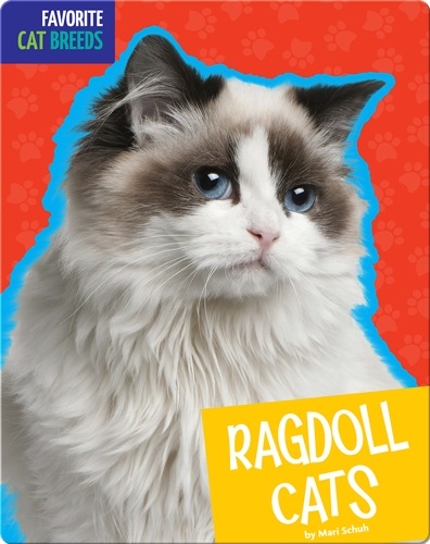 Ragdoll Cats