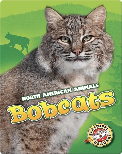 Cool Cats: Bobcats