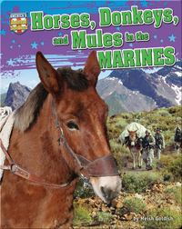 Horses, Donkeys, and Mules in the Marines