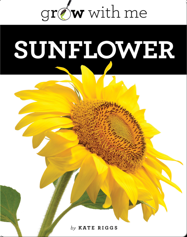 Sunflower Children's Book by Kate Riggs Discover Children's Books, Audiobooks, Videos & More