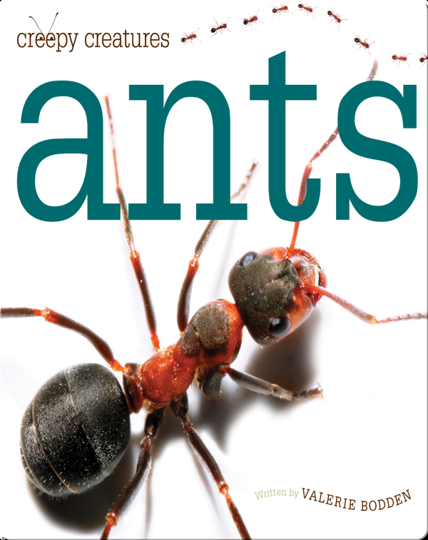 Ants Children's Book by Valerie Bodden Discover Children's Books