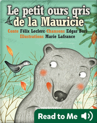Le petit ours gris de la Mauricie