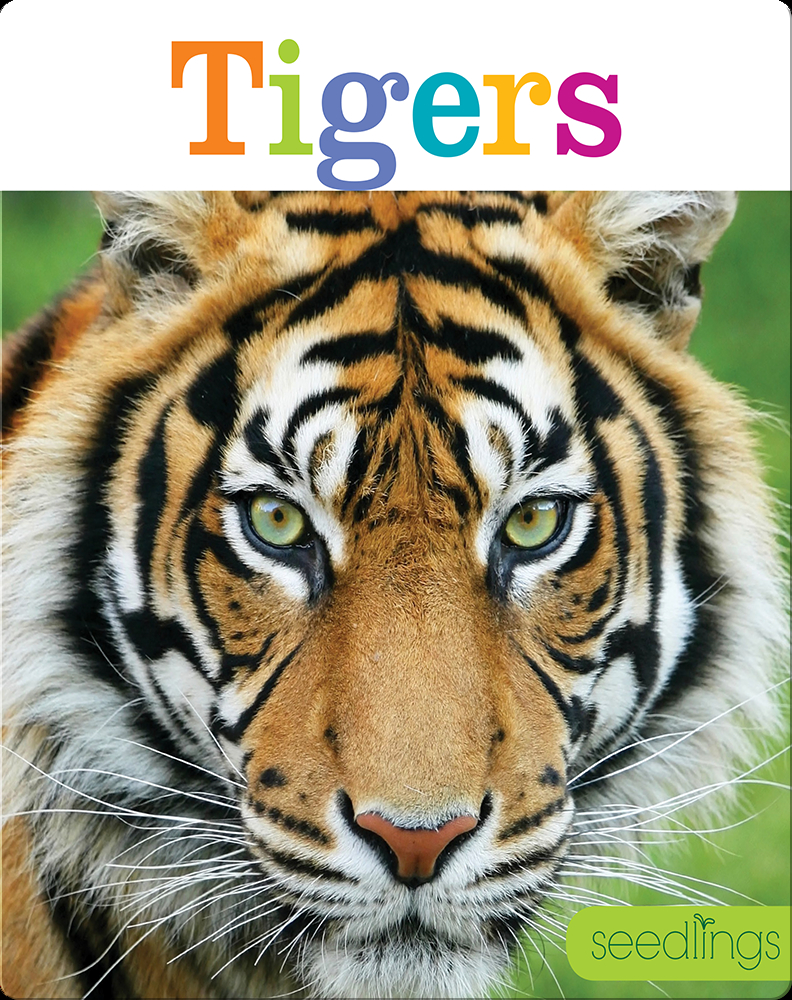 Tigers Children's Book by Kate Riggs Discover Children's Books