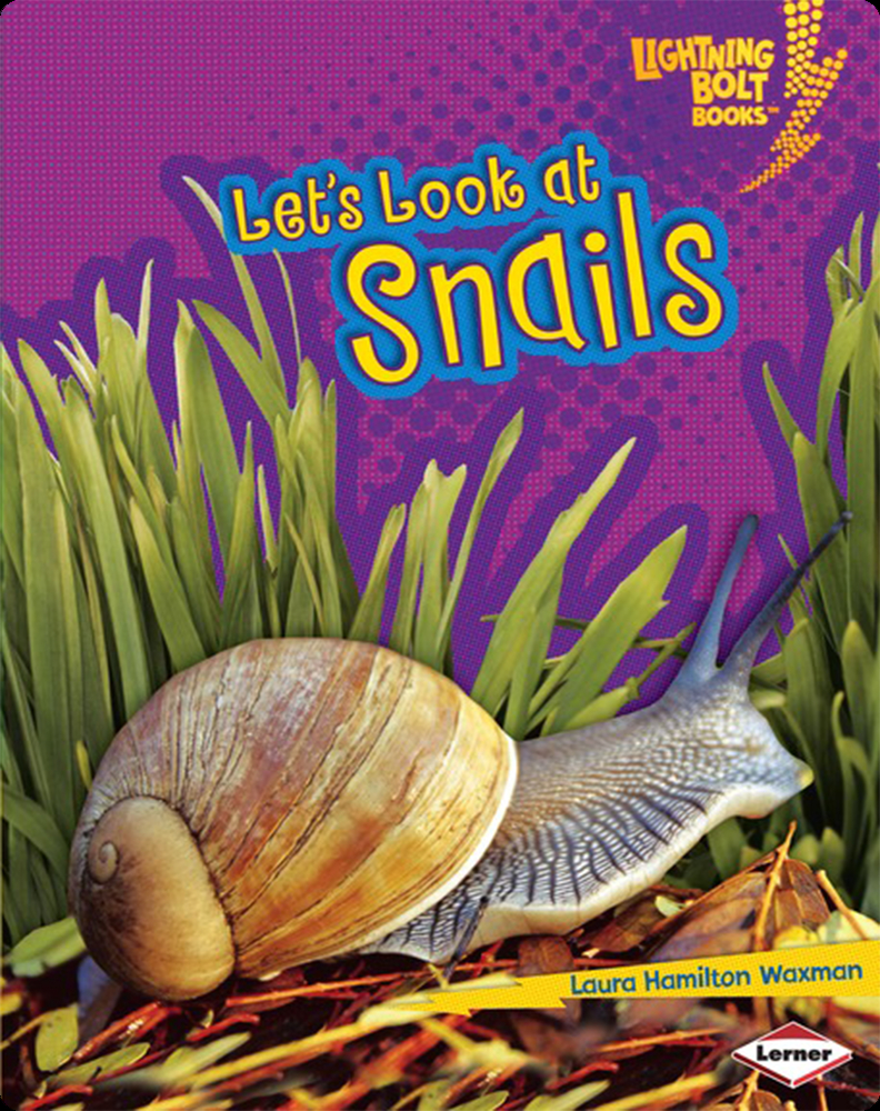 Let's Look at Snails Children's Book by Laura Hamilton Waxman