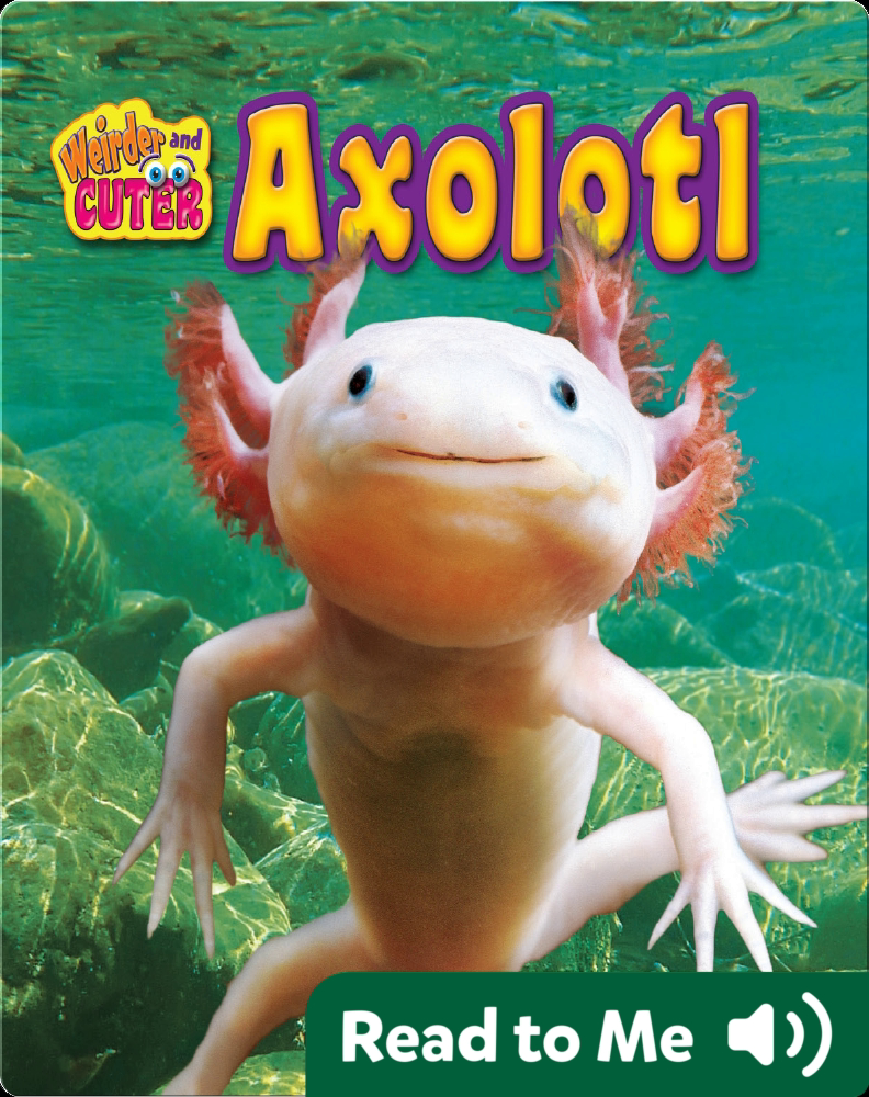 Axolotl Children S Book By Dawn Bluemel Oldfield Discover Children S Books Audiobooks Videos More On Epic