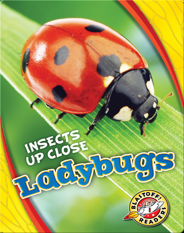 Ladybugs Children's Book by Christina Leaf Discover Children's Books