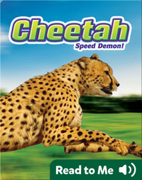 Cheetah: Speed Demon!