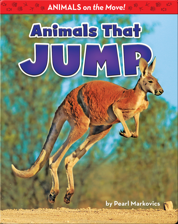 Animals That Jump