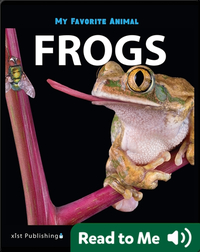 My Favorite Animal: Frogs
