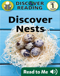 Discover Nests