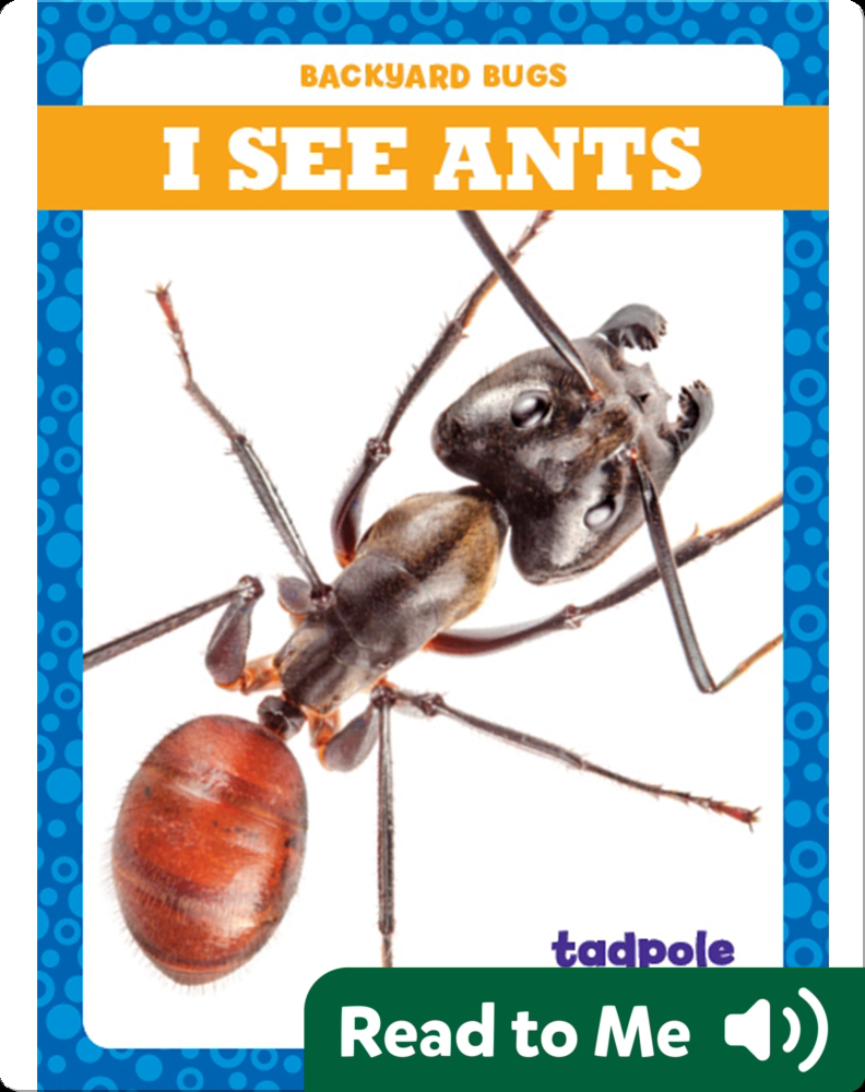 I See Ants Children S Book By Genevieve Nilsen Discover Children S Books Audiobooks Videos More On Epic