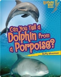 Can You Tell a Dolphin from a Porpoise?