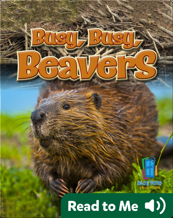 Busy, Busy, Beavers Children's Book by Alan Walker Discover Children