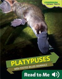 Platypuses: Web-Footed Billed Mammals