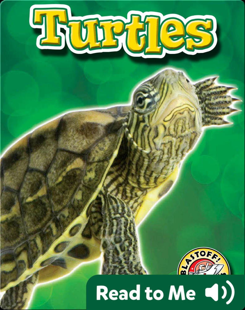 Turtles Backyard Wildlife Children's Book by Emily Green Discover Children's Books
