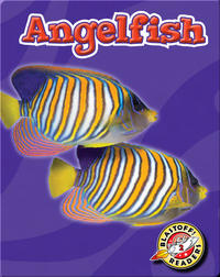 Angelfish: Oceans Alive