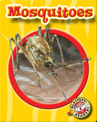 Mosquitoes: World of Insects