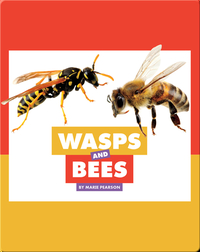 Comparing Animal Differences: Wasps and Bees