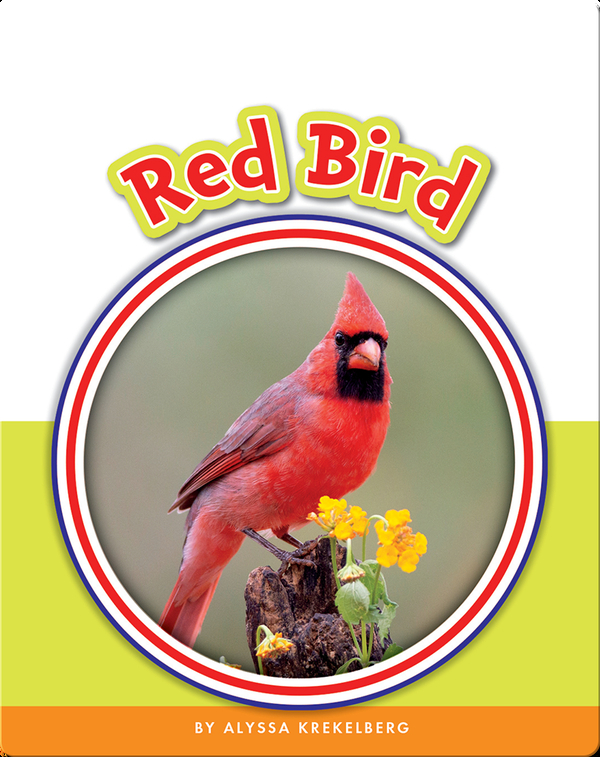Learning Sight Words: Red Bird
